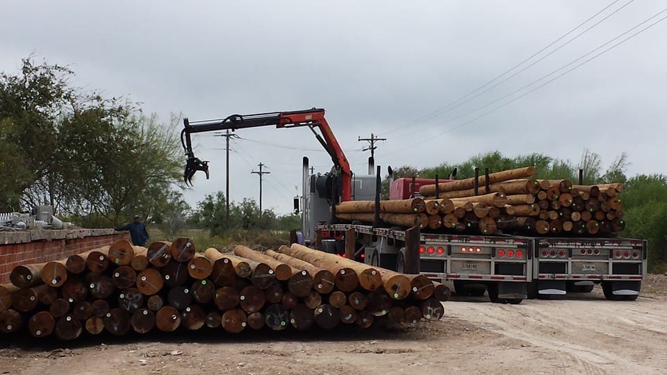 Telephone Poles and Piles