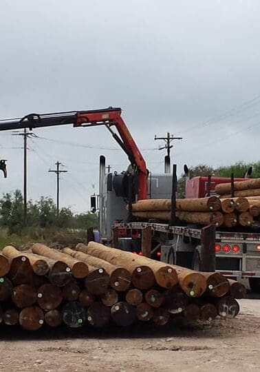 telephone poles and piles Telephone Poles and Piles
